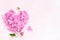 Heart of pink mallow petals on a light background with space for text. Card
