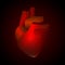 Heart with a point of pain. Stylized transition from a real organ to an X-ray effect. Medical illustration of heart