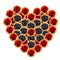 Heart of red and black berries isolated. Valentine`s day Love. Heart made frome berries. Berries in the shape heart