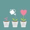 Heart seed, watering can, love plant. Growth concept. Flat design infographic.