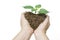 Heart shap soil and plant among woman hands