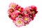 Heart-shapde Hellebore flower Helleborus orientalis