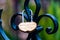 Heart shape golden metal lock celebrating 50 years wedding anniversary hanging on green painted metal fence