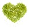 Heart shape of green leave symble of love