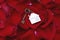 Heart shape key with house keyring on vibrant elegant red petal of rose background, romantic valentine sweet love concept