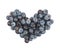 Heart shape made of bilberries isolated