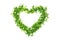 The heart shape is made of chopped green onions, parsley and dill. White isolated background