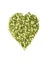 Heart shape made from green chopped peas on a white background