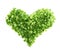 Heart shape made of green onion pieces