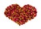 Heart shape made of rosebuds isolated