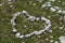 Heart shape made of white stones in the alps. Dolomites. Italy