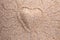 Heart shape mark with squiggly lines on Barley grain malt background