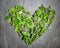 Heart shape of mixed fresh green culinary herbs