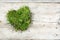 Heart shape from moss and grass on old wood, love background