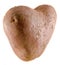 Heart shape potato, close up, isolated