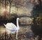 Heart shape of swans love mate for life in scenic view of misty pond autumn romantic landscape with beautiful old bridge in the