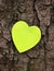 Heart shape on a tree bark surface. Bright, plain heart with space for text. Love concept, Valentine's day