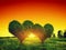 Heart shape trees couple on grass at sunset. Love