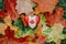 Heart shape wooden Canadian flag. National symbol lying on a ground in autumn fall maple leaves. Autumnal season in Canada country