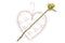 Heart shape with yellow rose arrow