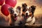 A heart shaped balloon brings together two joyful Border Collie friends