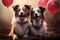 A heart shaped balloon brings together two joyful Border Collie friends