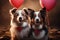 A heart shaped balloon brings together two joyful Border Collie friends