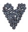 Heart Shaped blueberries