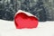 Heart Shaped Box in a Snowy Forest