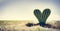 Heart shaped cactus on desert. Concepts of love, feeling lonely, love hurts