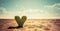 Heart shaped cactus on desert. Concepts of love, feeling lonely, love hurts