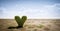 Heart shaped cactus on desert. Concepts of love, feeling lonely, love hurts