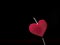 Heart shaped candle. Black background