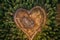 Heart-Shaped Deforestation from Above: Devastating Loss of Trees.