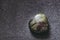 Heart shaped dragon\\\'s blood jasper polished gemstone on a black background