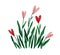 Heart-shaped flowers with leaf. Wild floral plants with blooming valentine buds. Gentle delicate blossomed spring flora