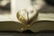 Heart-shaped Folded Book pages