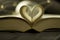 Heart-shaped Folded Book pages