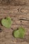 Heart shaped grape leaves on a wooden background