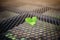 Heart shaped green leaves on the metal floor of the walkway  Images for backgrounds