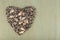 Heart shaped grey various seashells