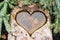 Heart-shaped hole in stone full of water beautifully surrounded by fir tree needles