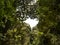 Heart shaped hole in the trees in the Mokarot Emerald Cave in Ko Muk, Ko Lanta, Thailand.