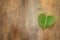 heart shaped leaf over wooden table. ecology and health concept.