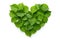 Heart-shaped Leaves: Embracing Love and Nature in Eco-Friendly Harmony