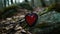 a heart shaped necklace hanging from a chain on a rock in a forest with moss and leaves on the ground and a mossy rock in the