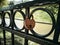 A heart-shaped padlock on a metal antique decorated rail of a bridge over the river. A symbol of fidelity and love, ceremony and