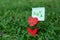 Heart-shaped photo holder on the green grass