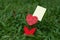 Heart-shaped photo holder on the green grass