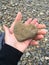 Heart Shaped Rock Held in Hands